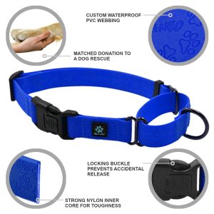 Waterproof Martingale Dog Collar - Image 4