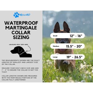 Waterproof Martingale Dog Collar - Image 6