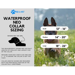 Waterproof NEO Dog Collar - Image 7