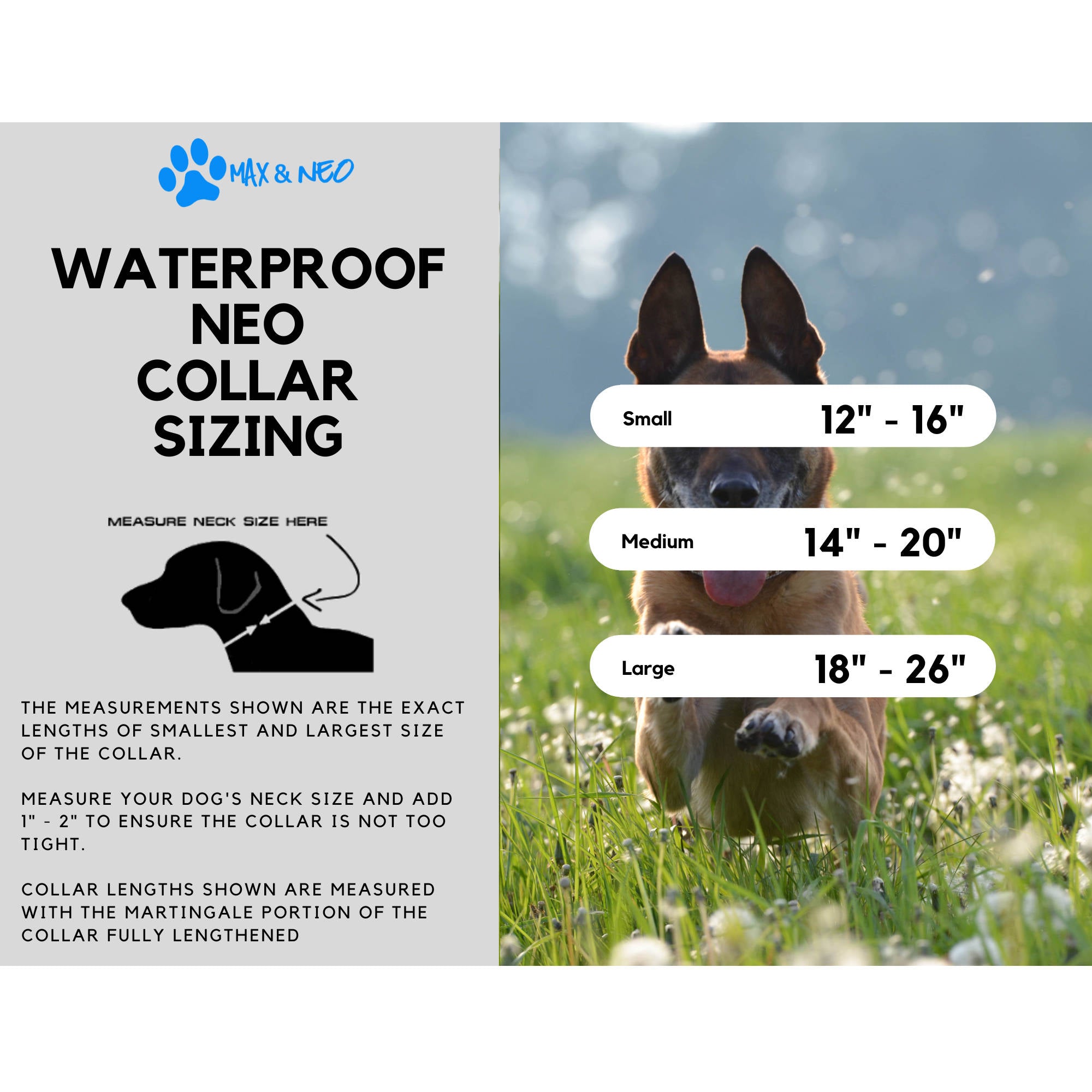 Waterproof NEO Dog Collar - Image 7