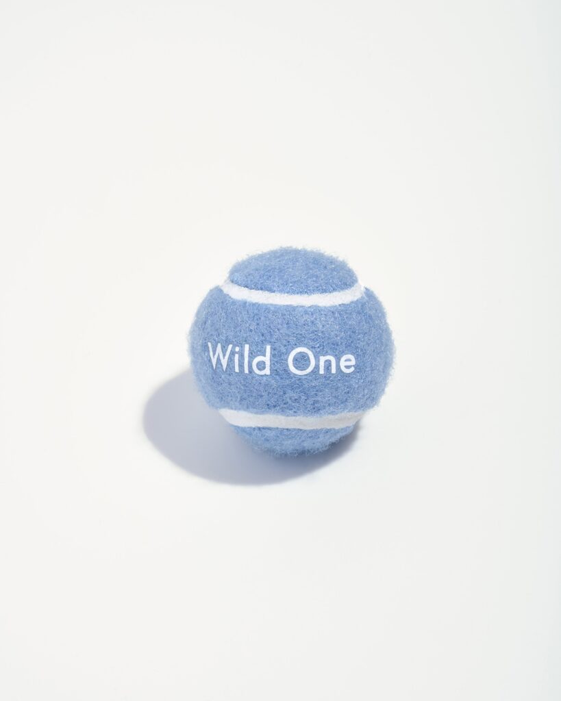 Tennis Balls 4-Pack