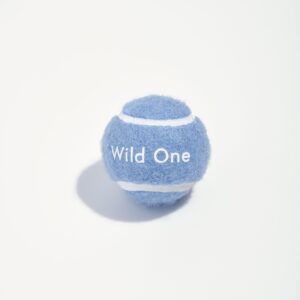 Tennis Balls 4-Pack - Image 6