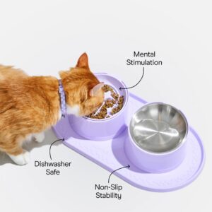 Cat Meal Kit - Image 3