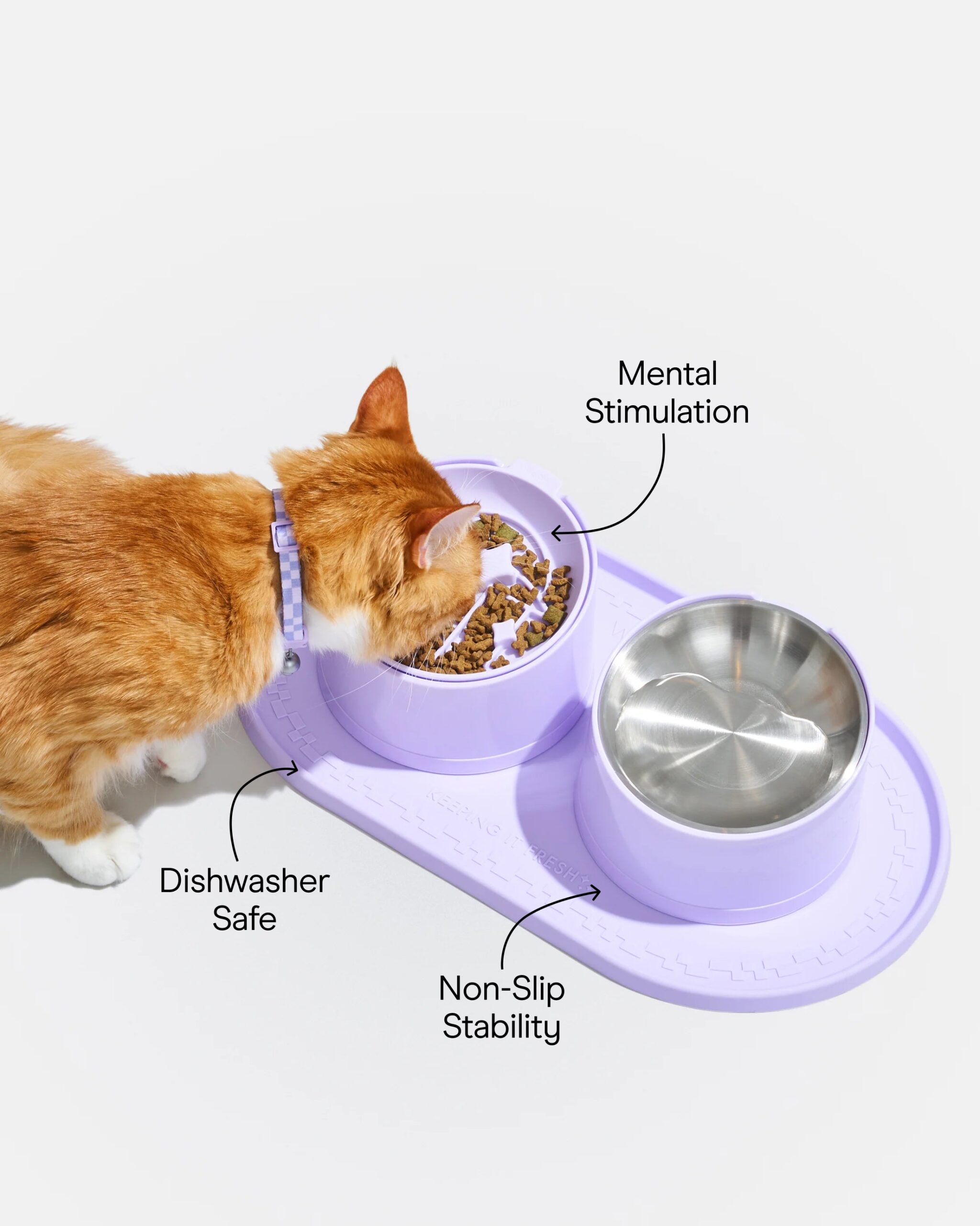 Cat Meal Kit - Image 3