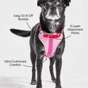Cushioned Dog Harness - Image 3