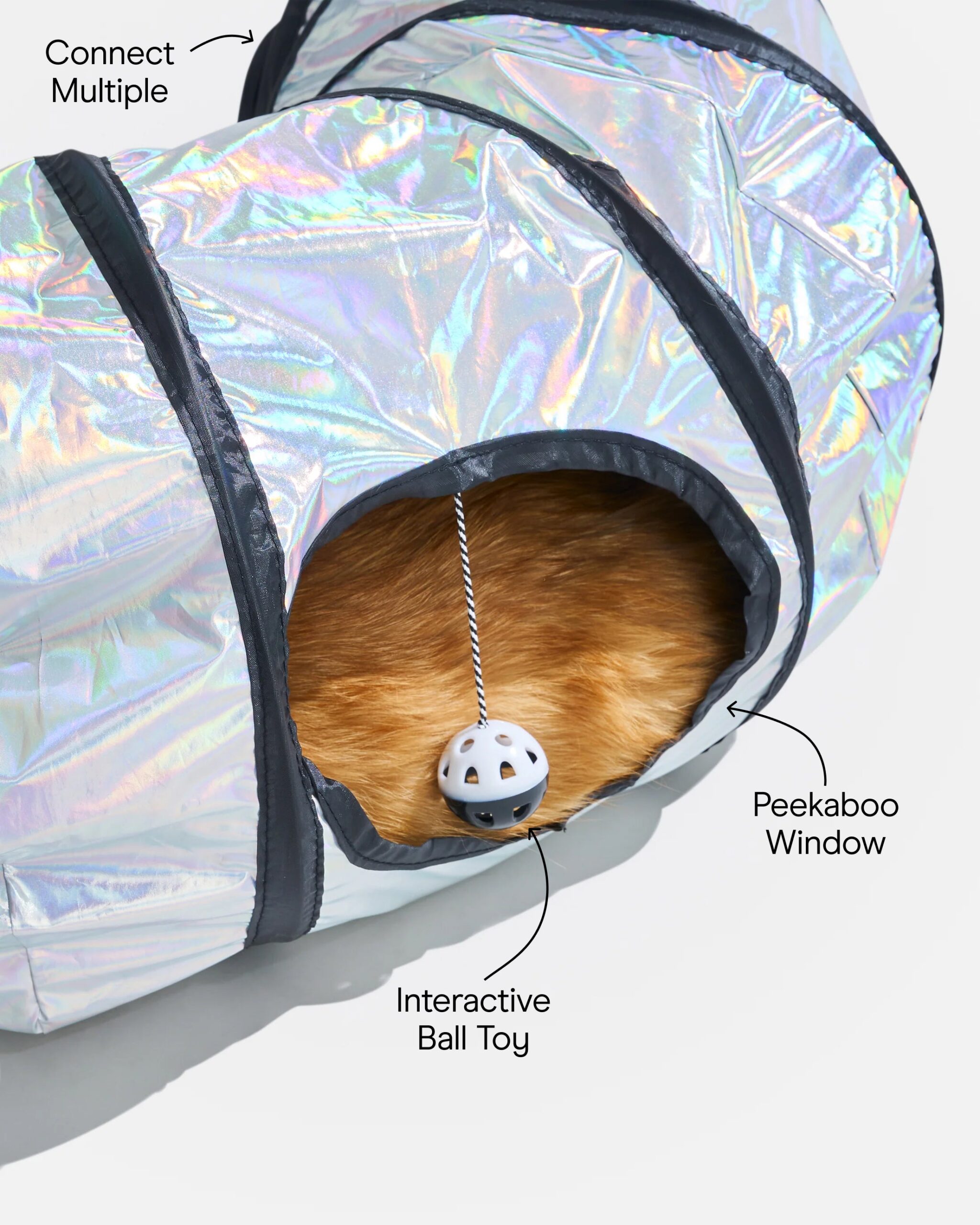 Cat Tunnel - Image 3