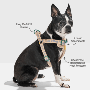 Step-In Dog Harness - Image 5