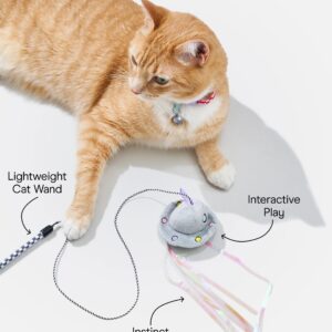 Cat Wild Wand - Image 4