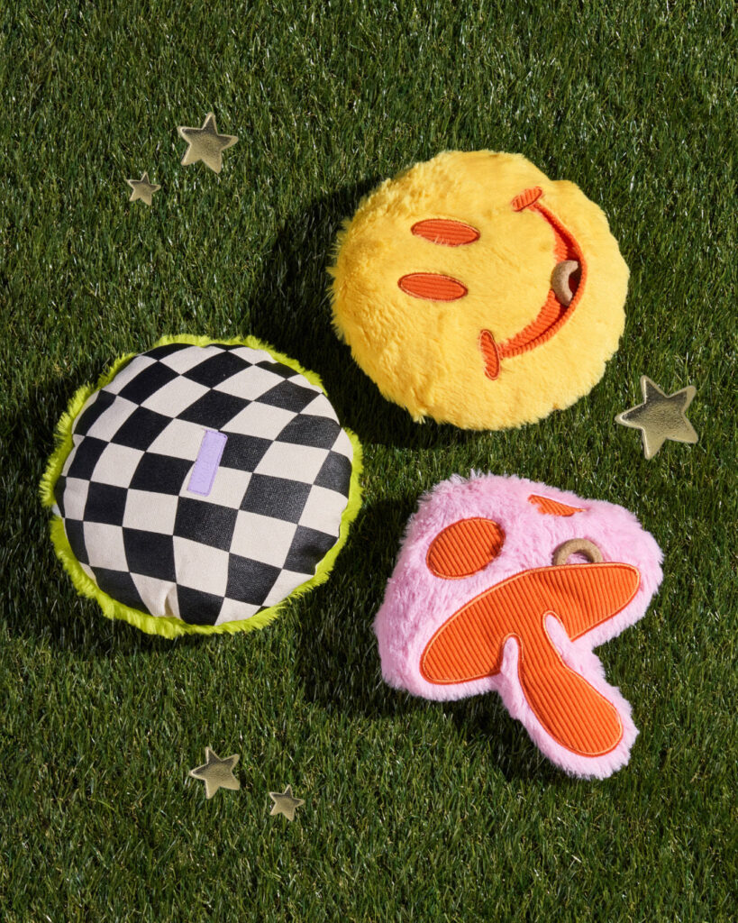 Playful Plush Dog Toy Kit