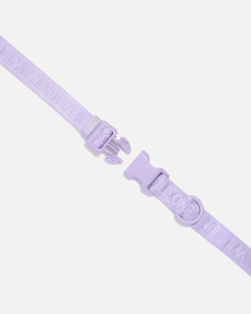 Quick-Release Dog Collar