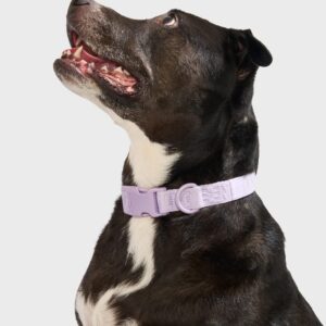 Quick-Release Collar + Waterproof Leash Walk Kit - Image 4