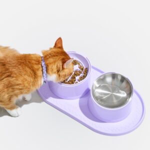 Cat Meal Kit - Image 2