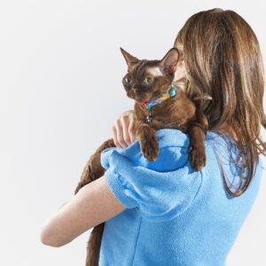 Breakaway Cat Collar - Image 3