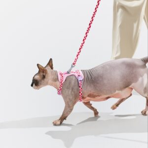 Cat Harness & Leash - Image 2