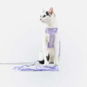 Cat Harness & Leash - Image 5