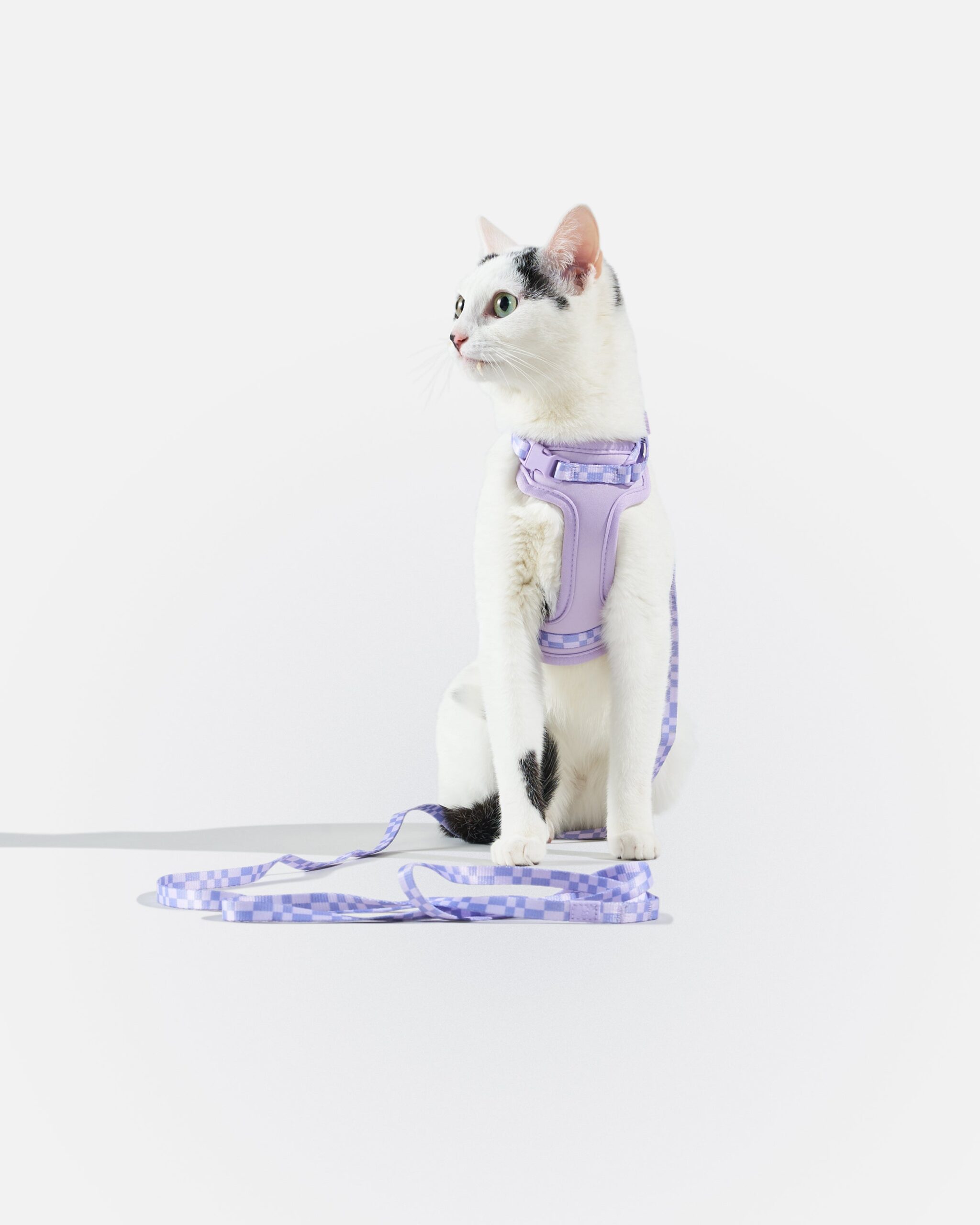 Cat Harness & Leash - Image 5