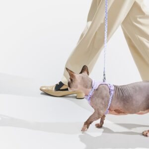 Cat Harness & Leash - Image 4