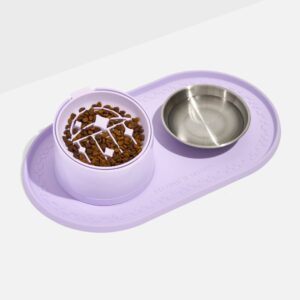 Cat Meal Kit - Image 5
