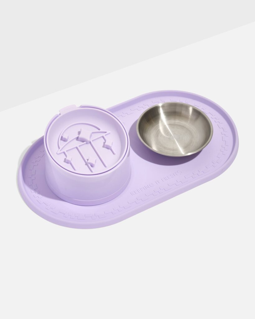 Cat Placemat