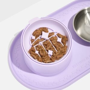 Cat Meal Kit - Image 7
