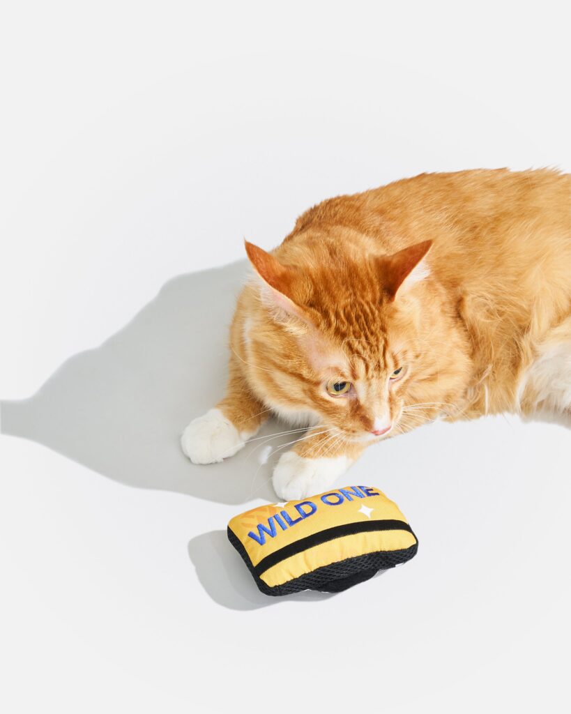Playful Plush Cat Toy