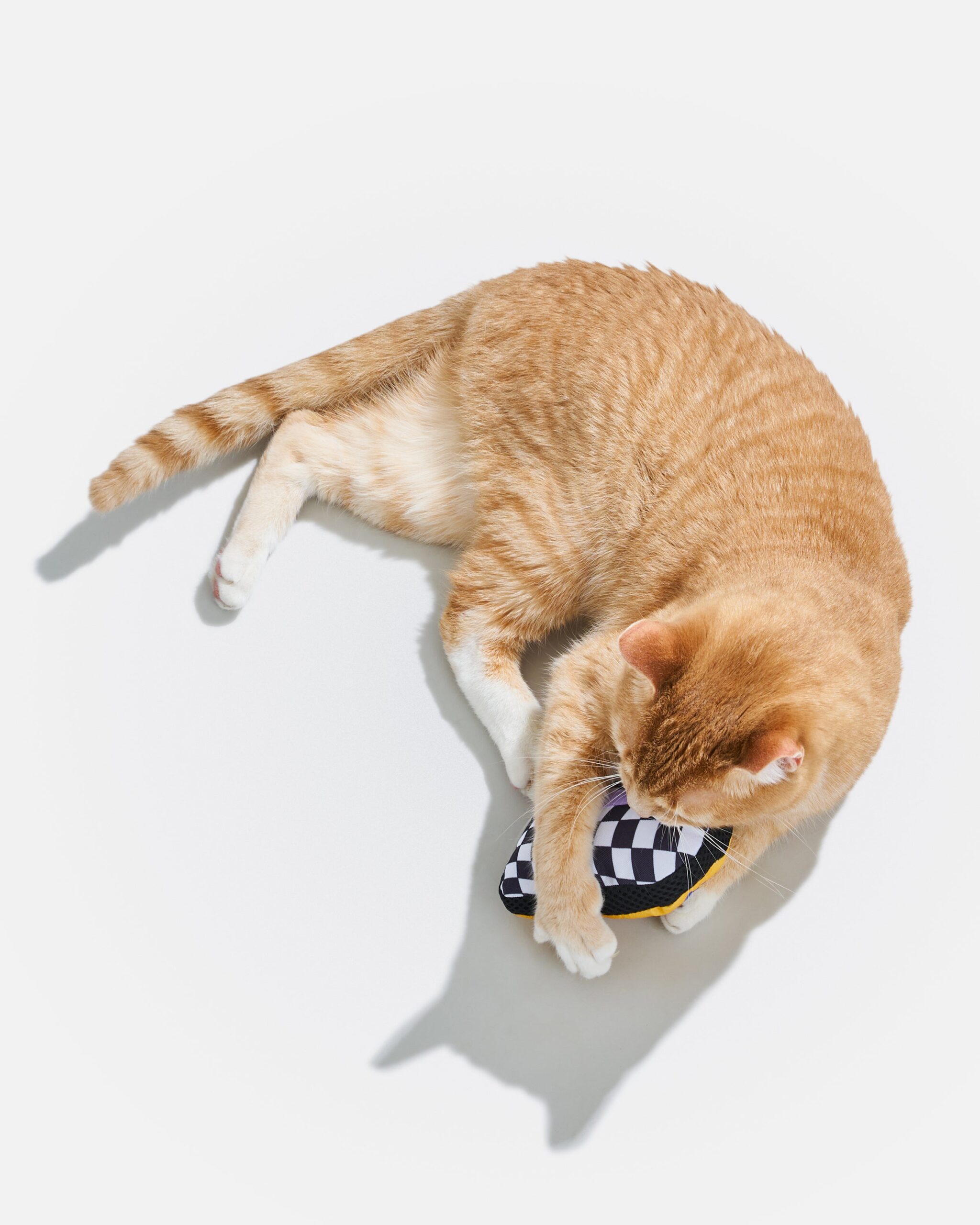 Playful Plush Cat Toy - Image 6