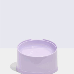 Slanted Cat Bowl - Image 2