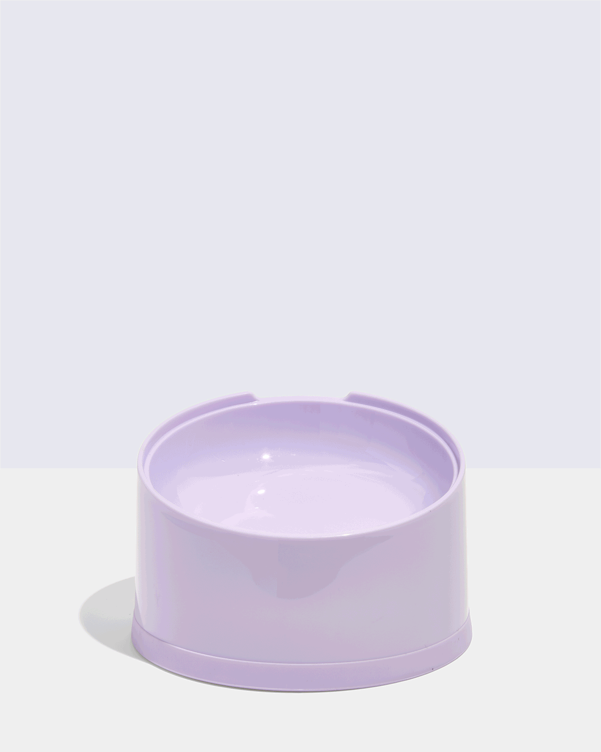 Slanted Cat Bowl - Image 2