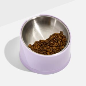 Slanted Cat Bowl - Image 3