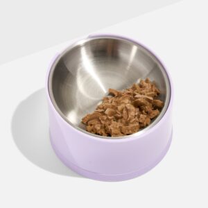 Slanted Cat Bowl - Image 4