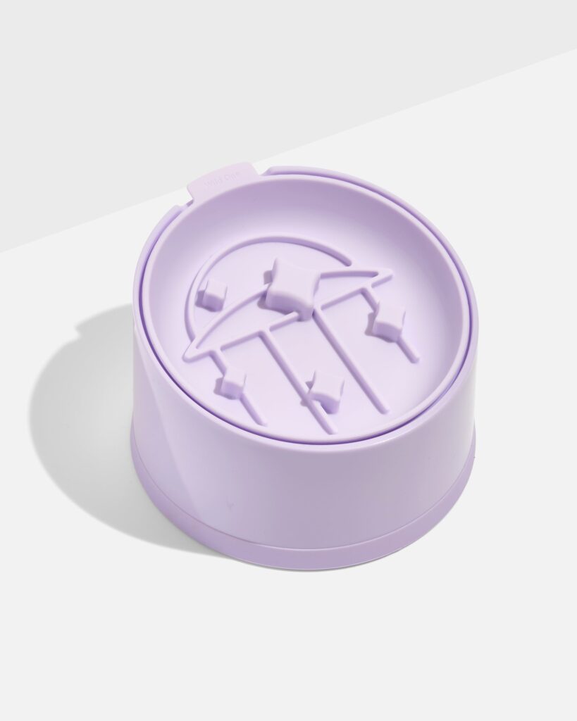 Cat Slow Feeder