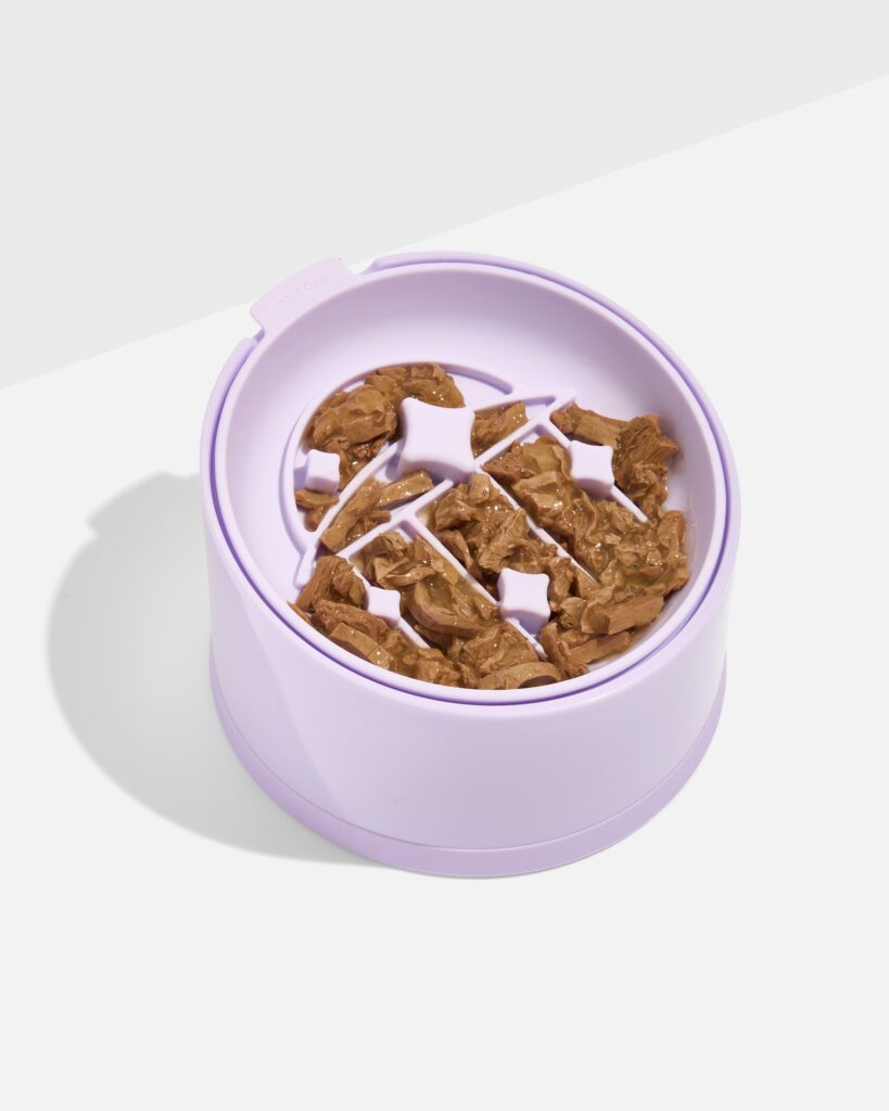 Cat Slow Feeder