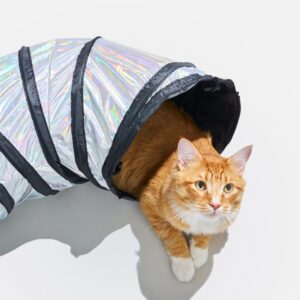 Cat Tunnel - Image 7