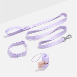 Quick-Release Collar + Lightweight Leash Walk Kit - Image 1