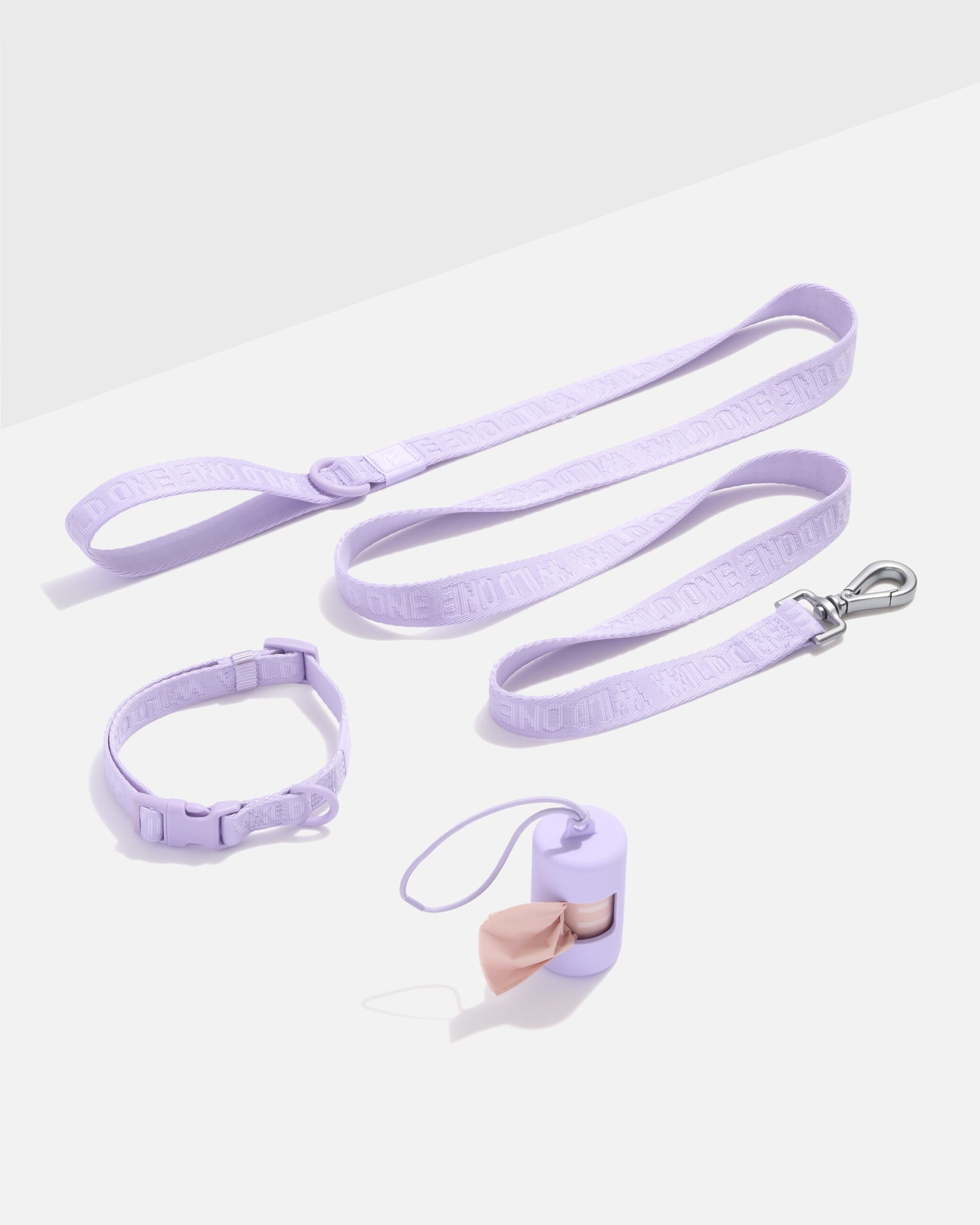 Quick-Release Collar + Lightweight Leash Walk Kit - Image 1