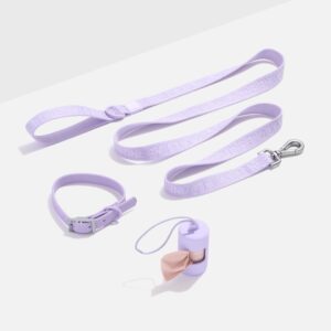 Waterproof Collar + Lightweight Leash Walk Kit - Image 1