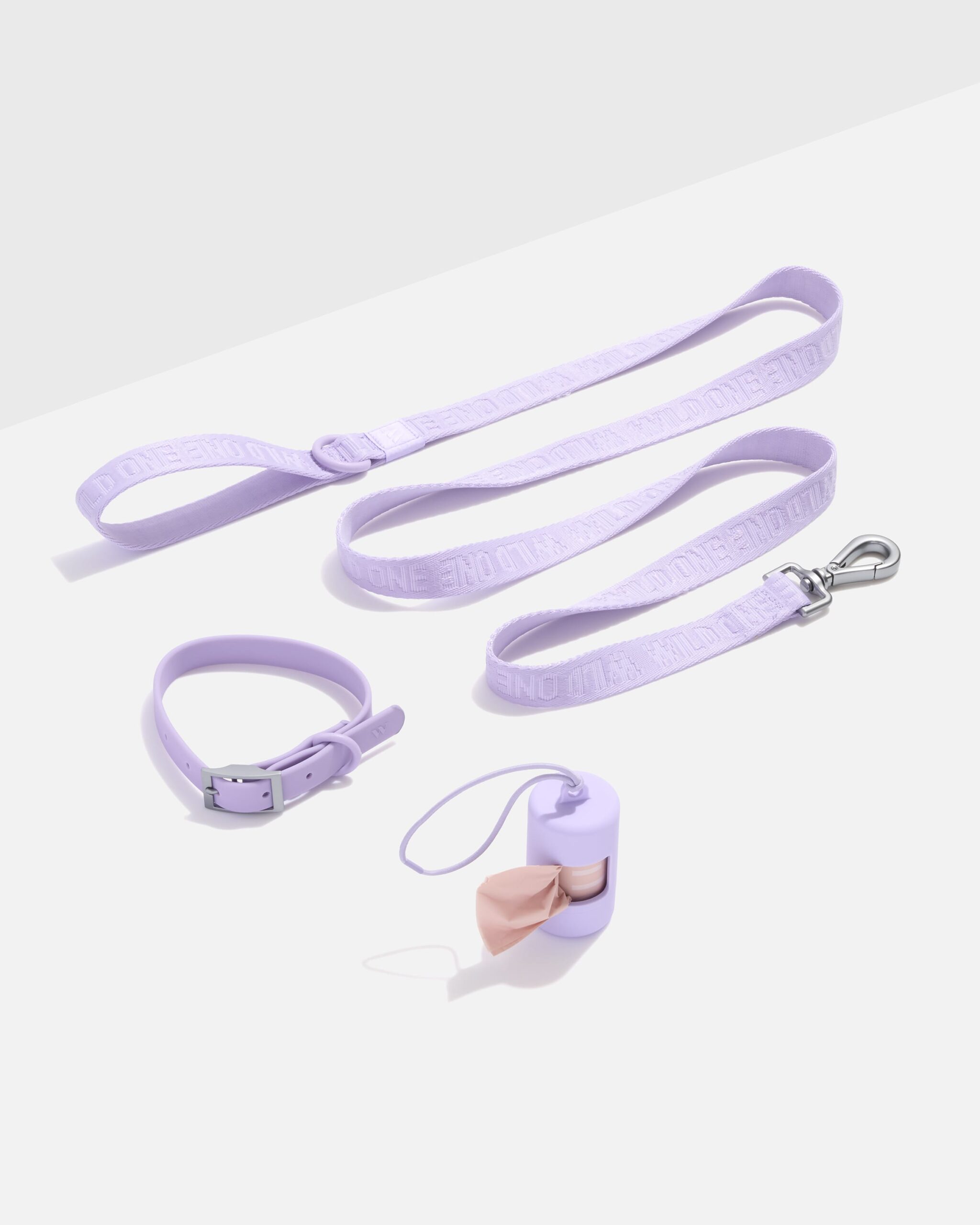 Waterproof Collar + Lightweight Leash Walk Kit - Image 1