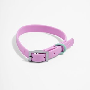 Waterproof Dog Collar - Image 1