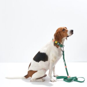 Dog Flair Pack - Image 6
