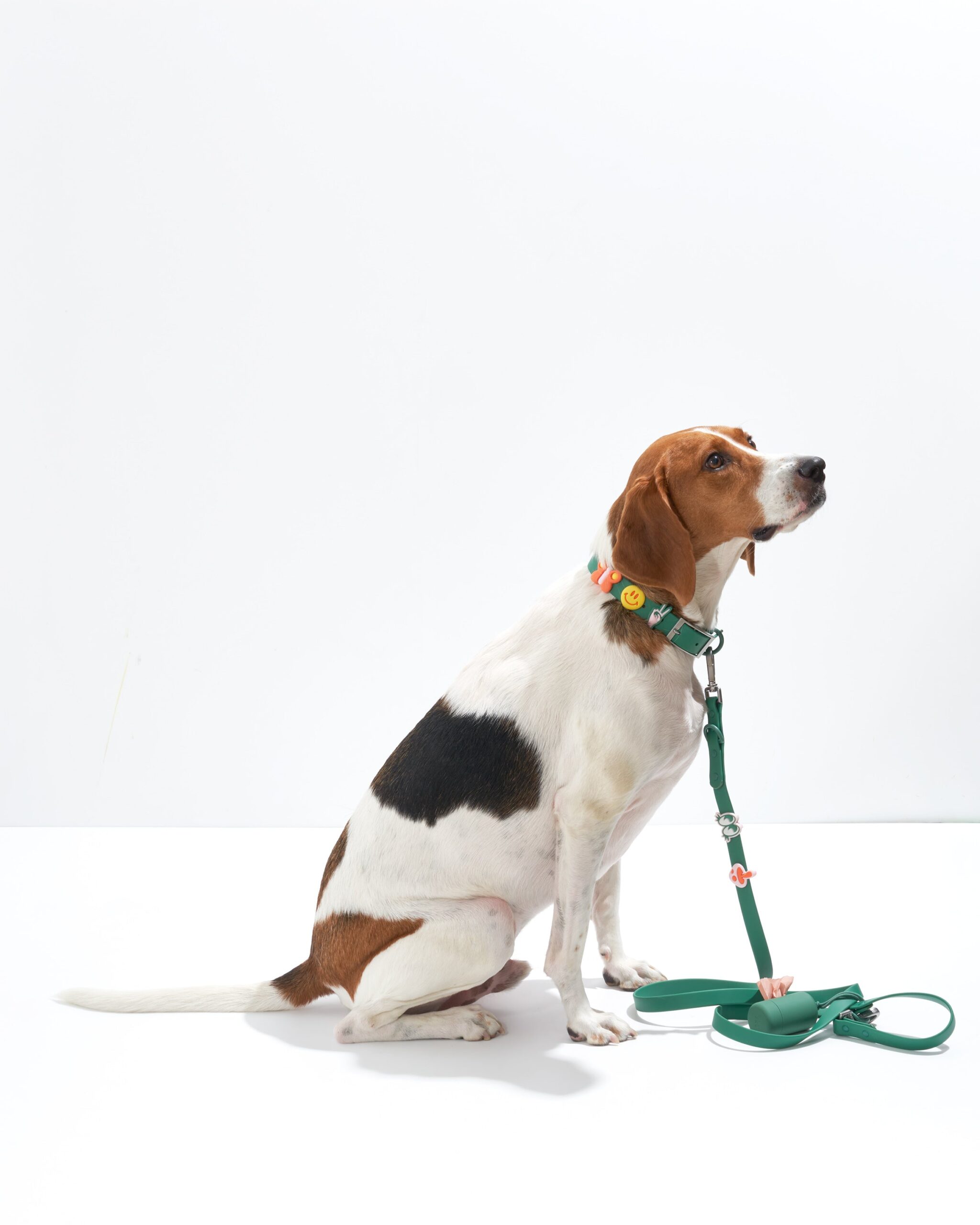 Dog Flair Pack - Image 6