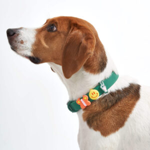 Dog Flair Pack - Image 3