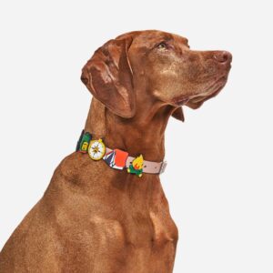 Dog Flair Pack - Image 2