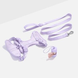 Cushioned Harness + Lightweight Leash Walk Kit - Image 1