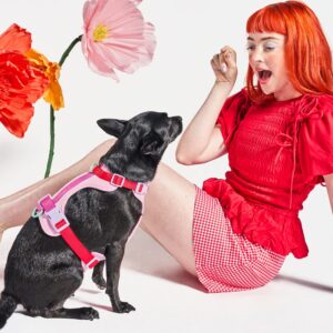 Cushioned Dog Harness - Image 6