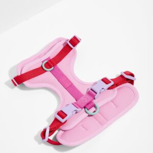 Cushioned Dog Harness - Image 1
