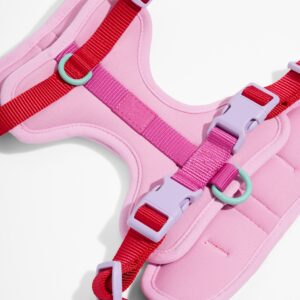 Cushioned Dog Harness - Image 5