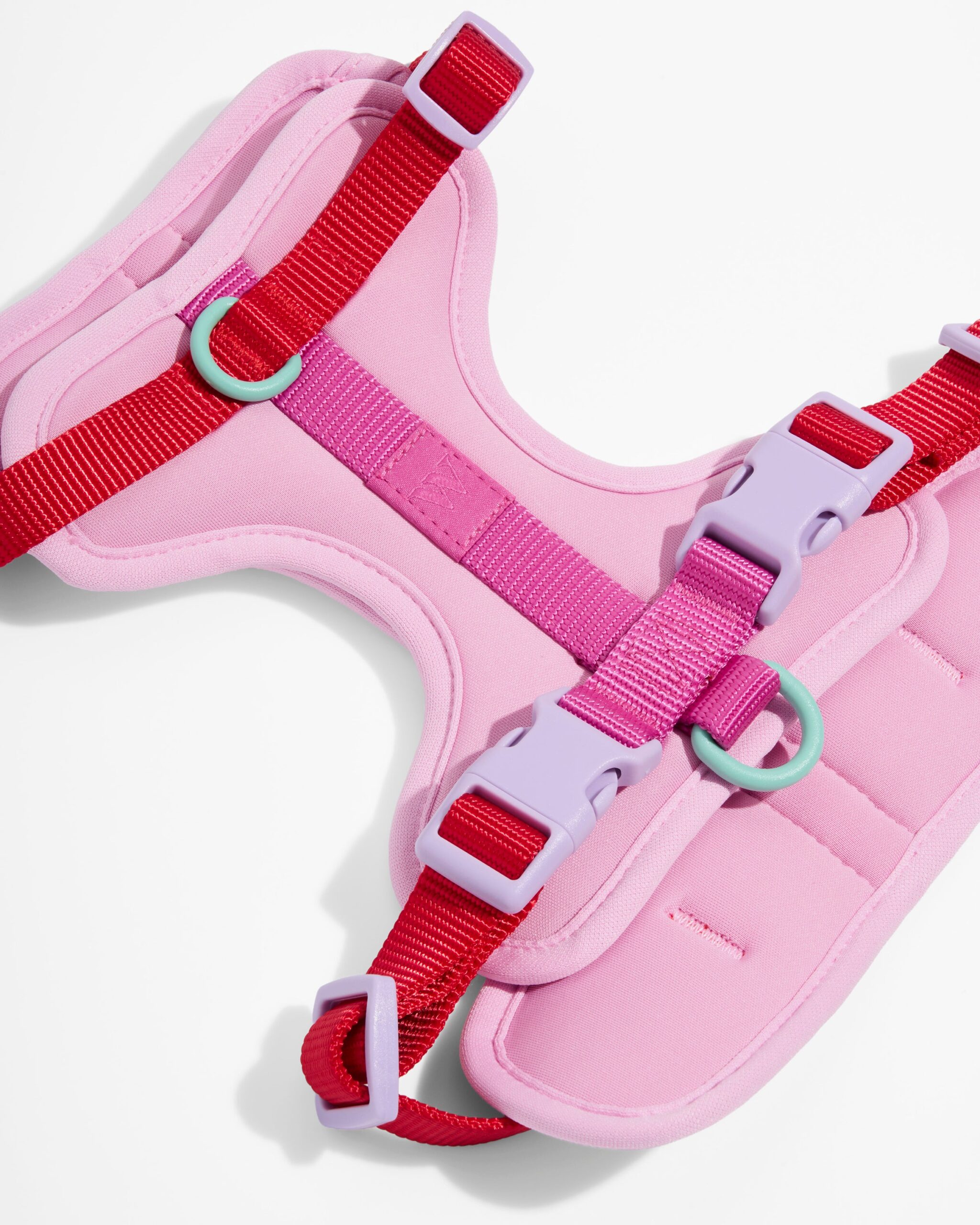 Cushioned Dog Harness - Image 5
