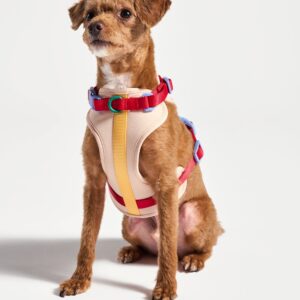 Cushioned Dog Harness - Image 8