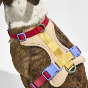 Cushioned Harness + Waterproof Leash Walk Kit - Image 3