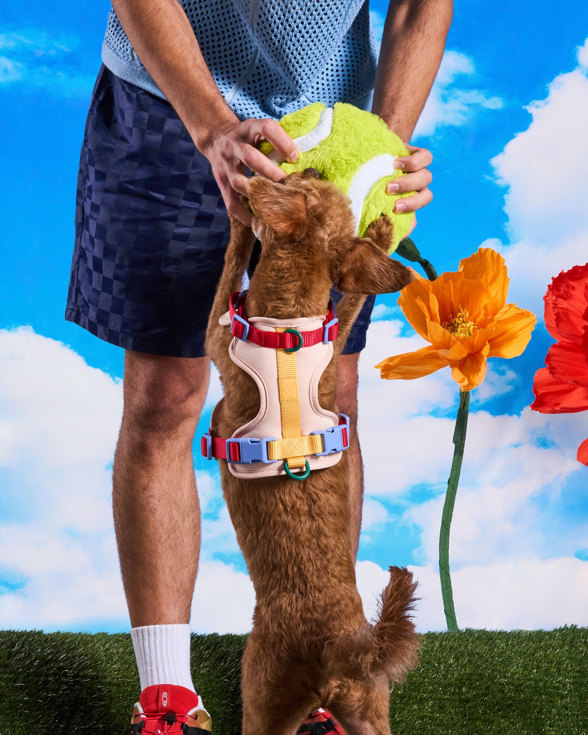 Playful Plush Dog Toy Kit - Image 3